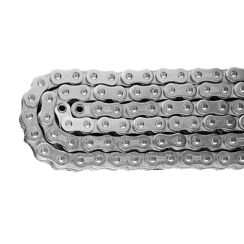 Type "X" seal chain